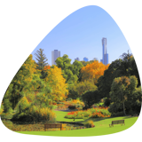 Melbourne Royal Botanic Gardens in autumn with a view of the cityscape in the distance